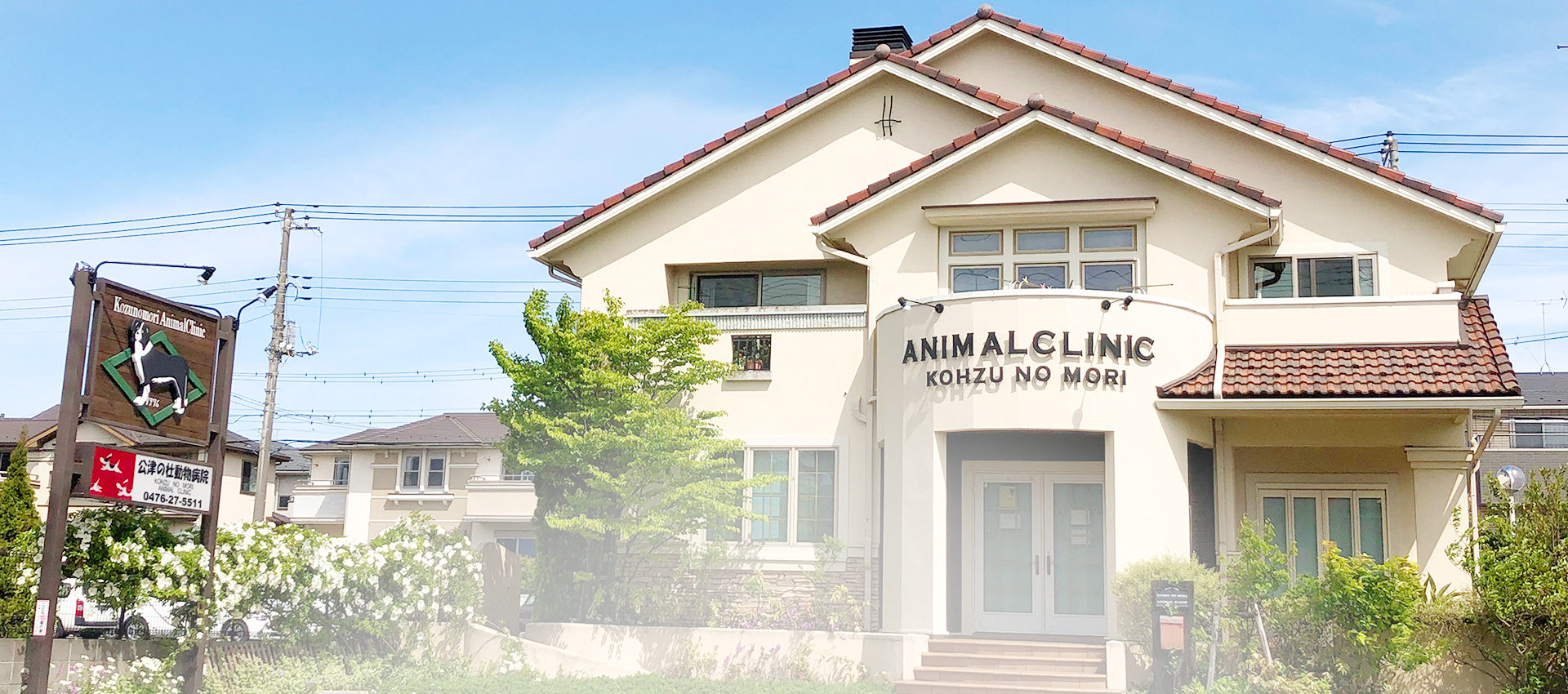 公津の杜動物病院
