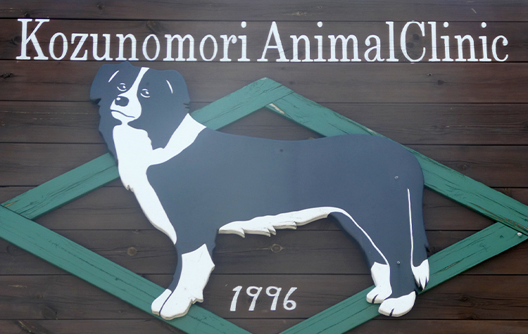 公津の杜動物病院